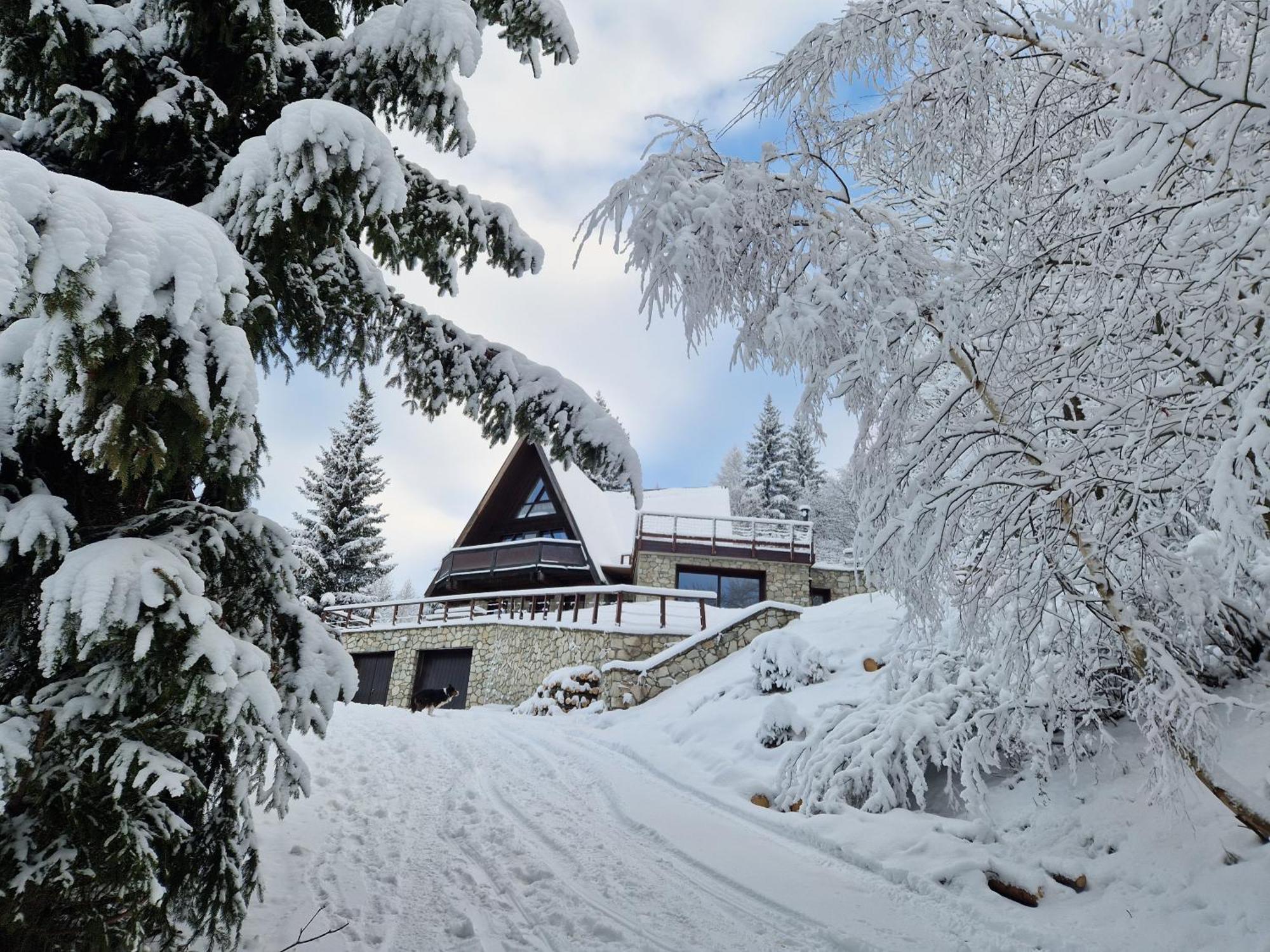 Le Chalet Pointu De Capucine Bourg-Saint-Maurice Zewnętrze zdjęcie